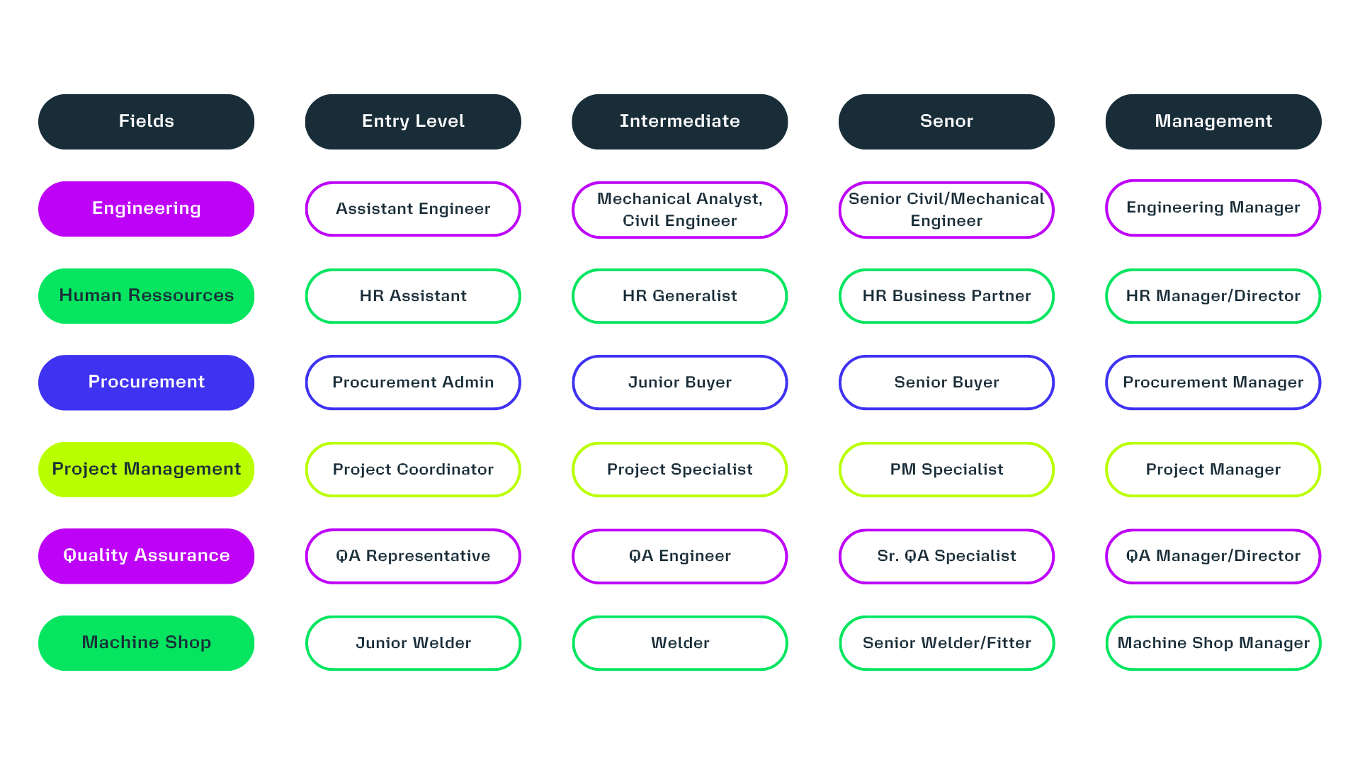 Examples of career progression by field