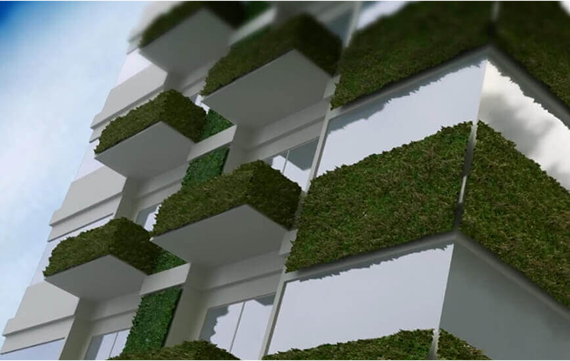 building with greenery