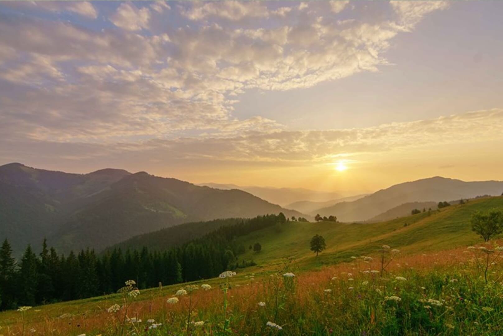 Nuclear and clean power