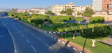What is the Saudi Green Initiative?