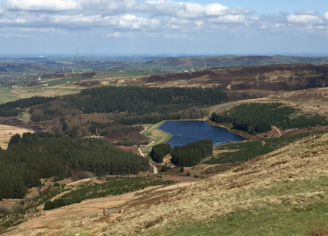 An  aerial view of a lake, surrounded by trees